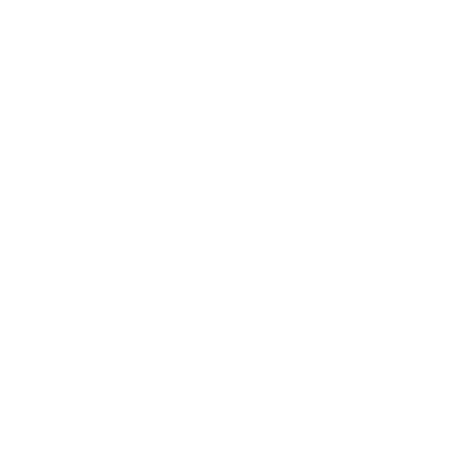 Raccoon Studio Logo Negativo
